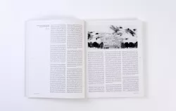 Nejc Lebar - Koncept in kontekst v delu Jeana Nouvela